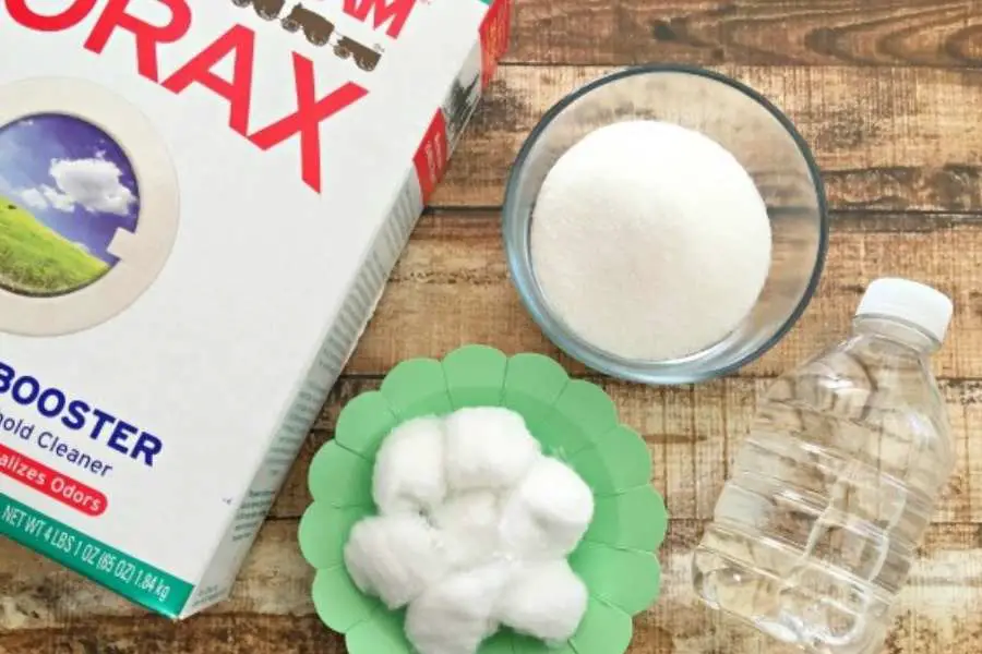 How to Use Borax Powder to Kill Ants?