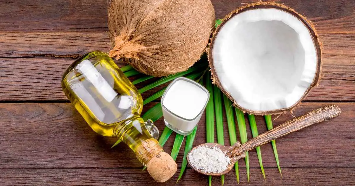 Does Coconut Oil Attract Ants?