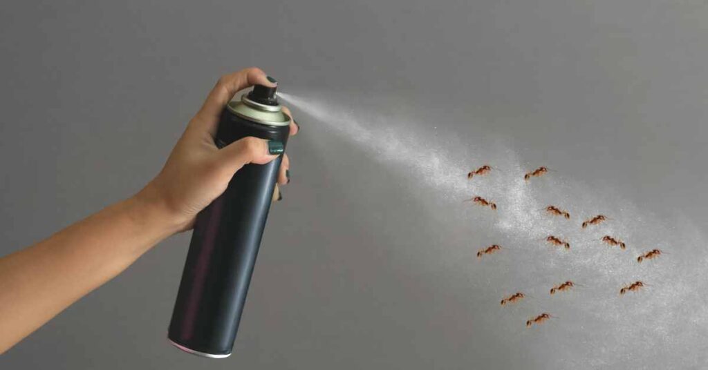 Will Hairspray Kill Ants?