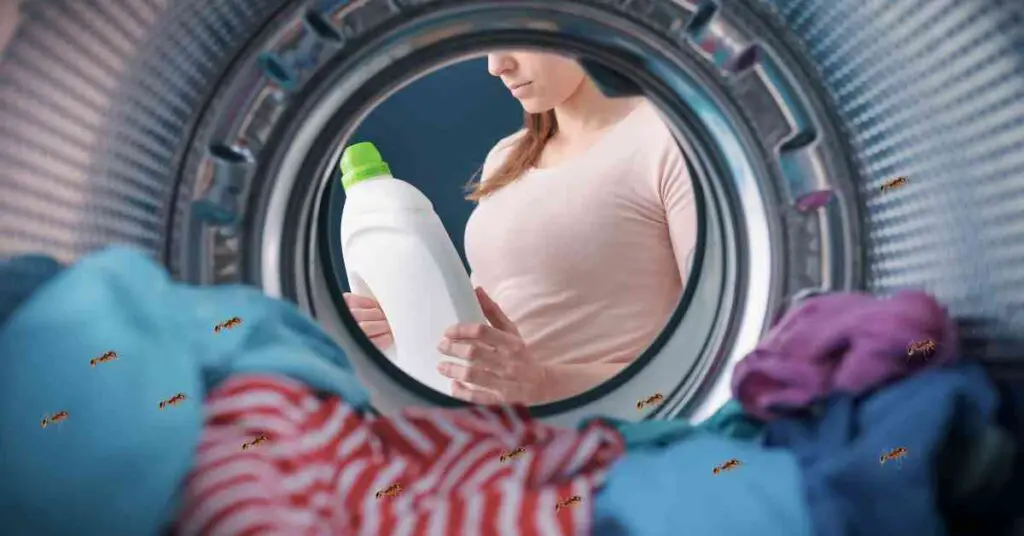Are Ants Attracted to Laundry Detergent? (Explained)