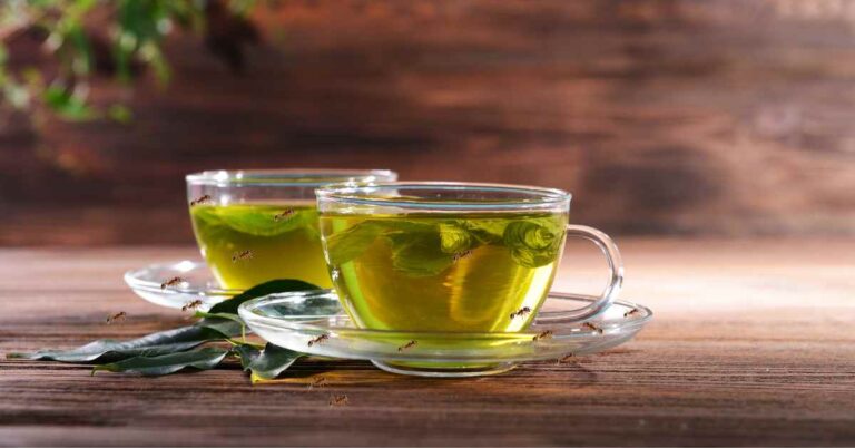 Are Ants Attracted To Green Tea? - Ants Authority