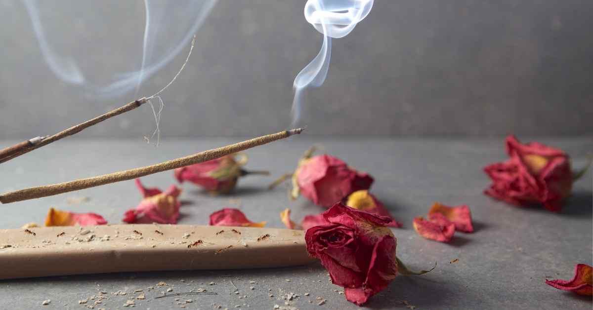 Are Ants Attracted To Incense?