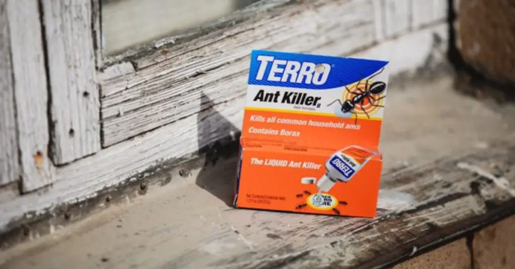 Does Terro Ant Bait Kill The Queen? Ants Authority