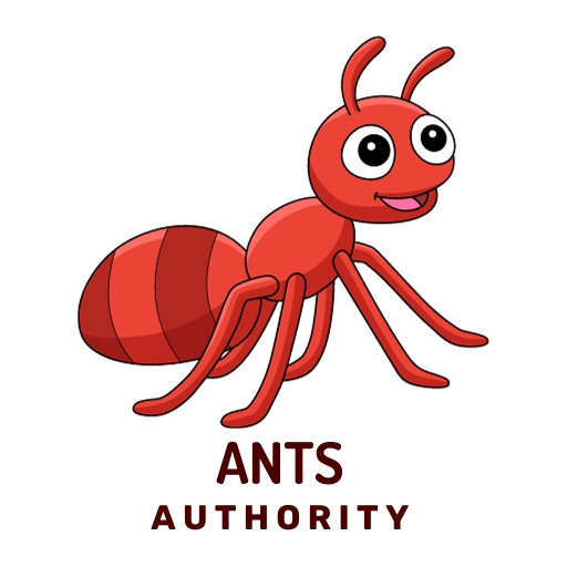 Ants Authority